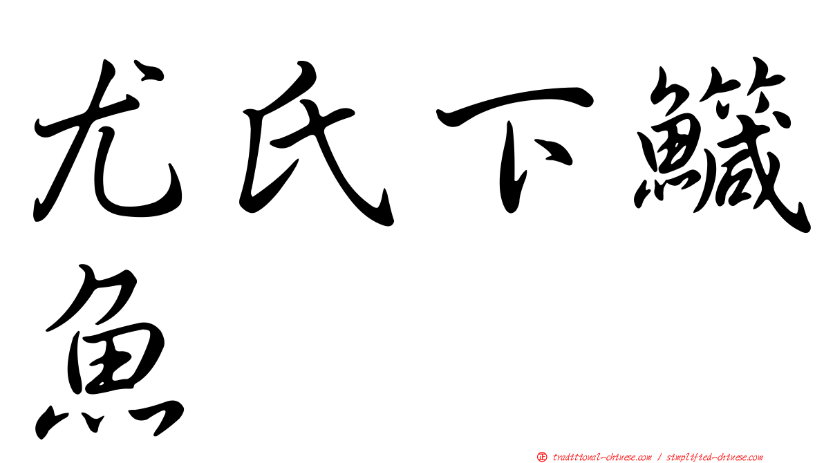 尤氏下鱵魚