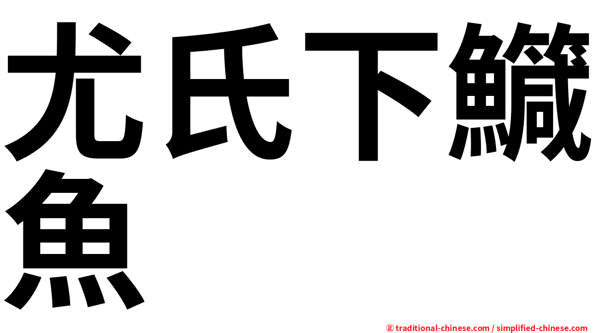 尤氏下鱵魚