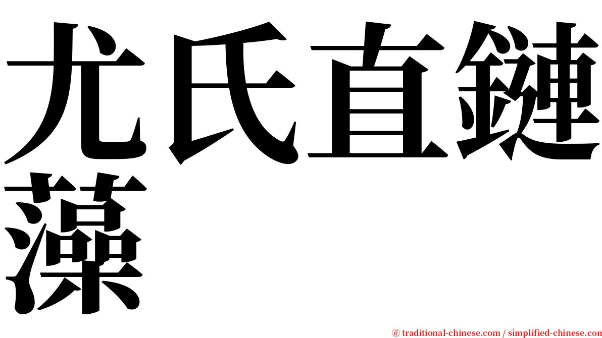 尤氏直鏈藻 serif font