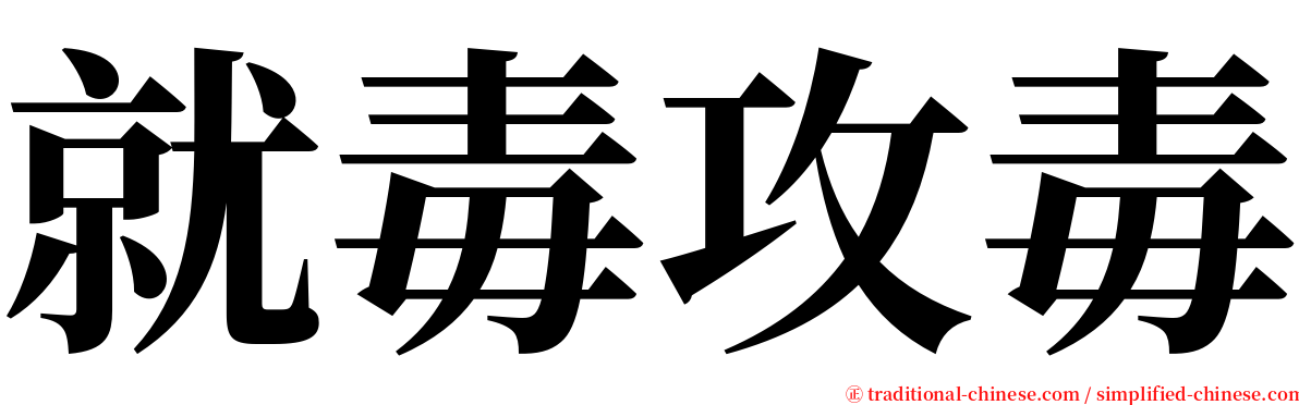 就毒攻毒 serif font