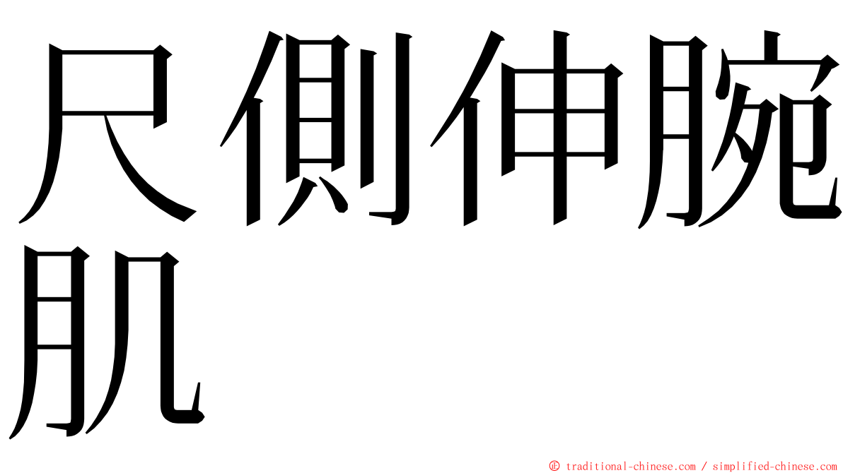 尺側伸腕肌 ming font