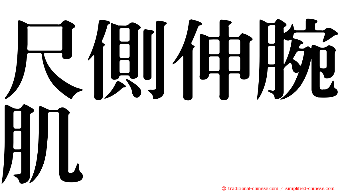 尺側伸腕肌