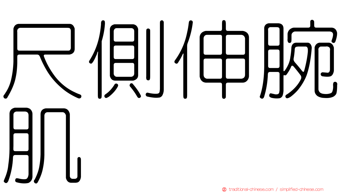 尺側伸腕肌