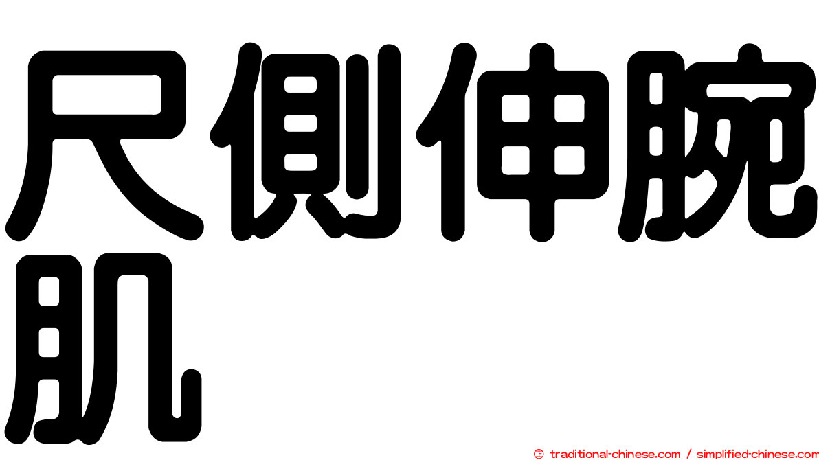 尺側伸腕肌