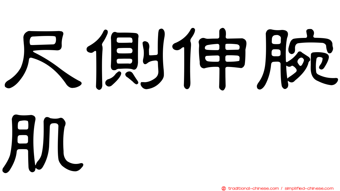 尺側伸腕肌