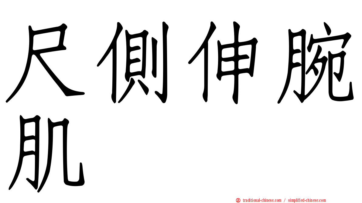 尺側伸腕肌