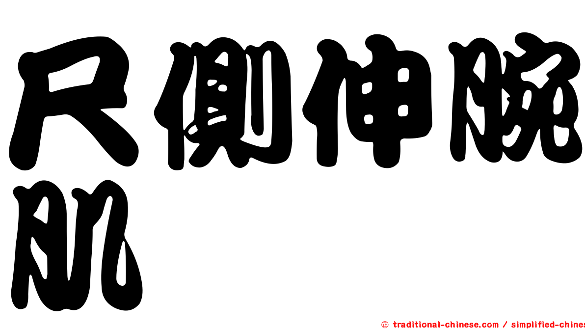 尺側伸腕肌
