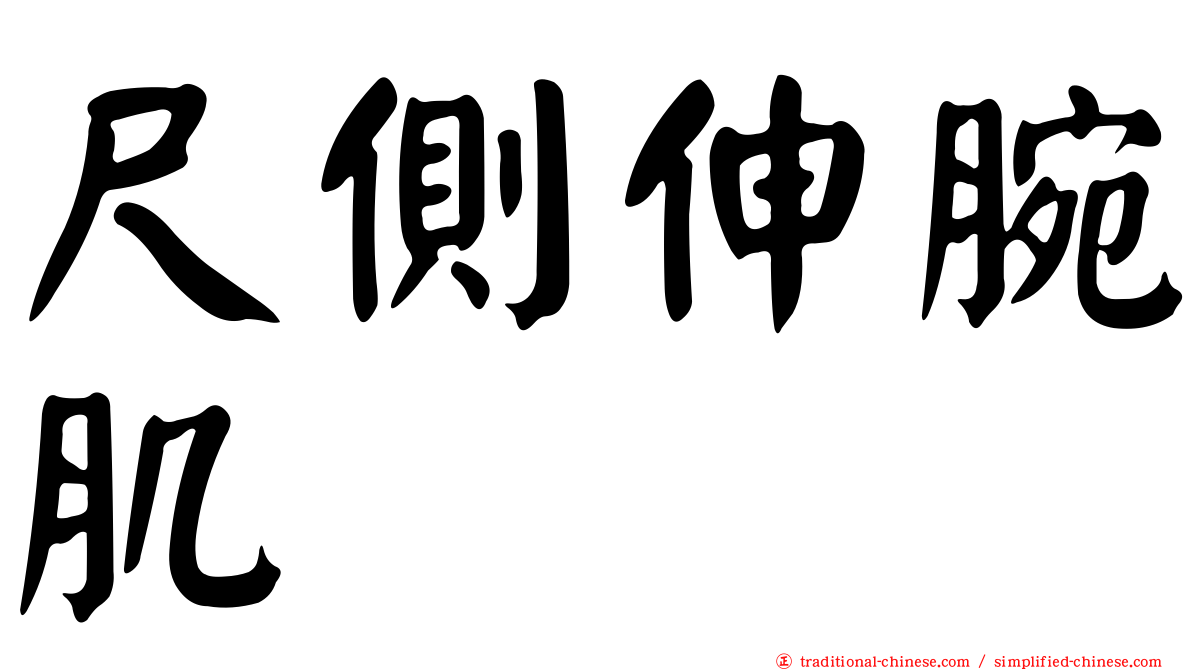尺側伸腕肌