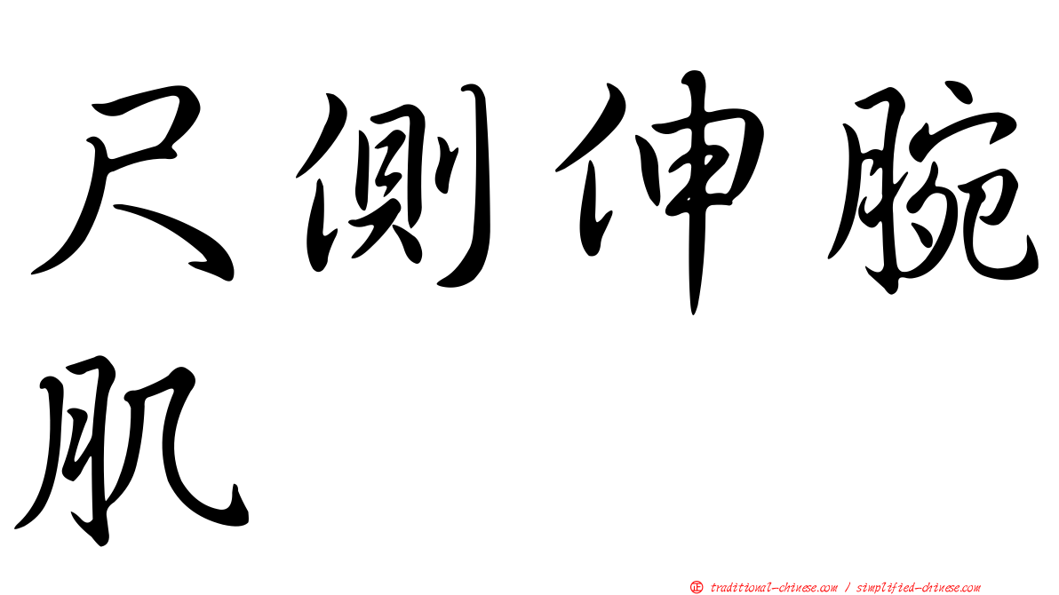 尺側伸腕肌