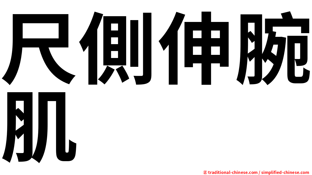 尺側伸腕肌