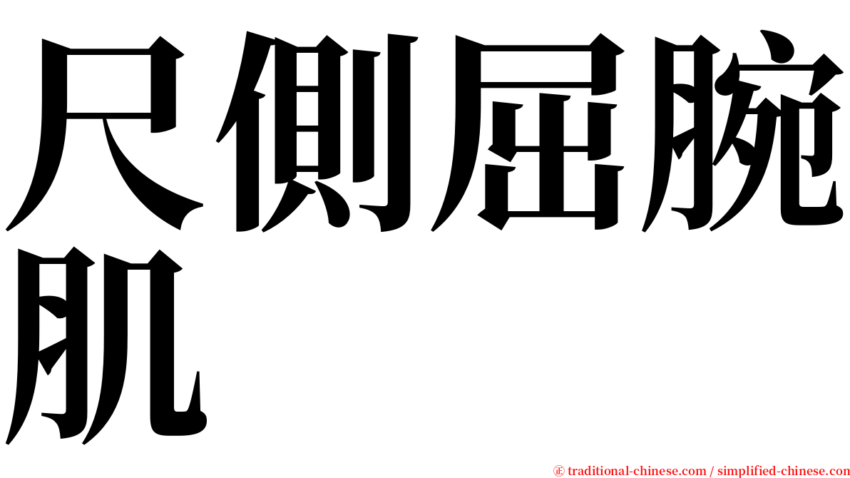 尺側屈腕肌 serif font