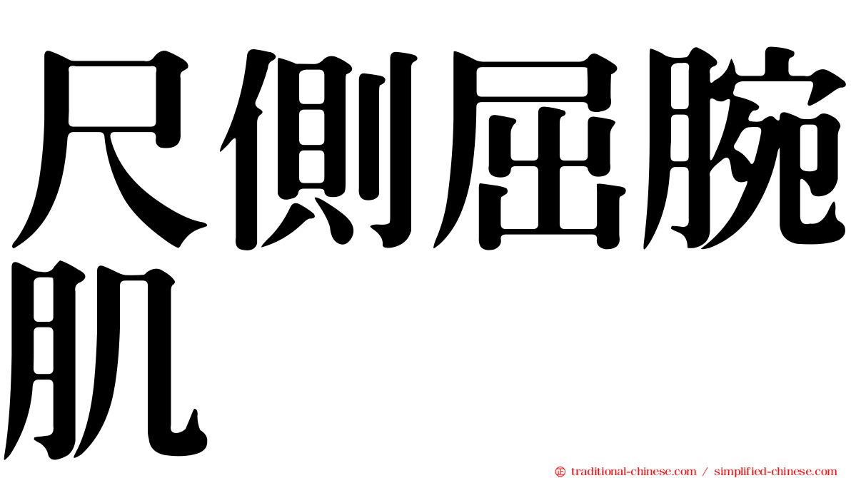 尺側屈腕肌