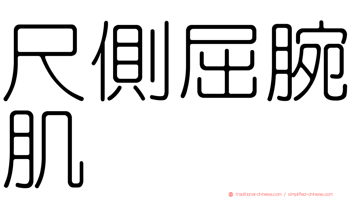 尺側屈腕肌