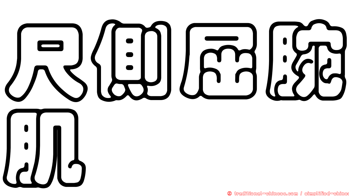 尺側屈腕肌