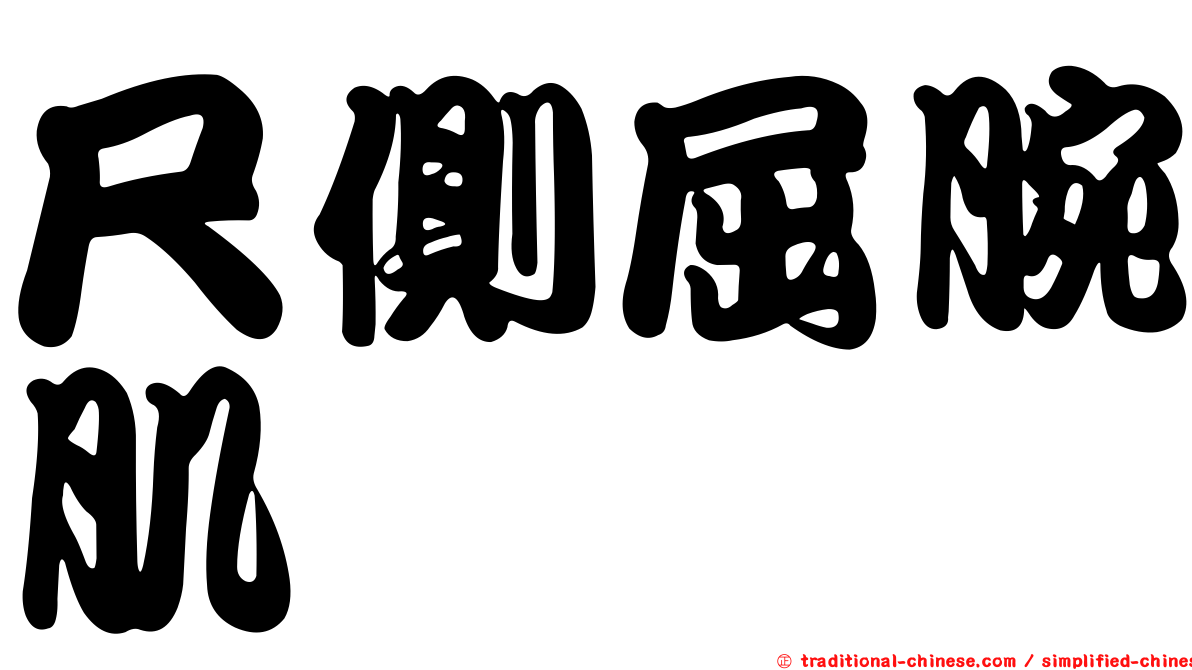 尺側屈腕肌