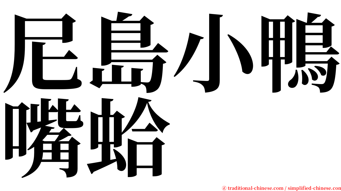 尼島小鴨嘴蛤 serif font