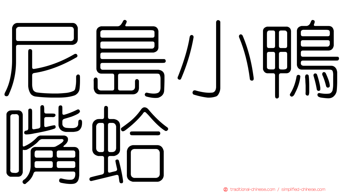 尼島小鴨嘴蛤