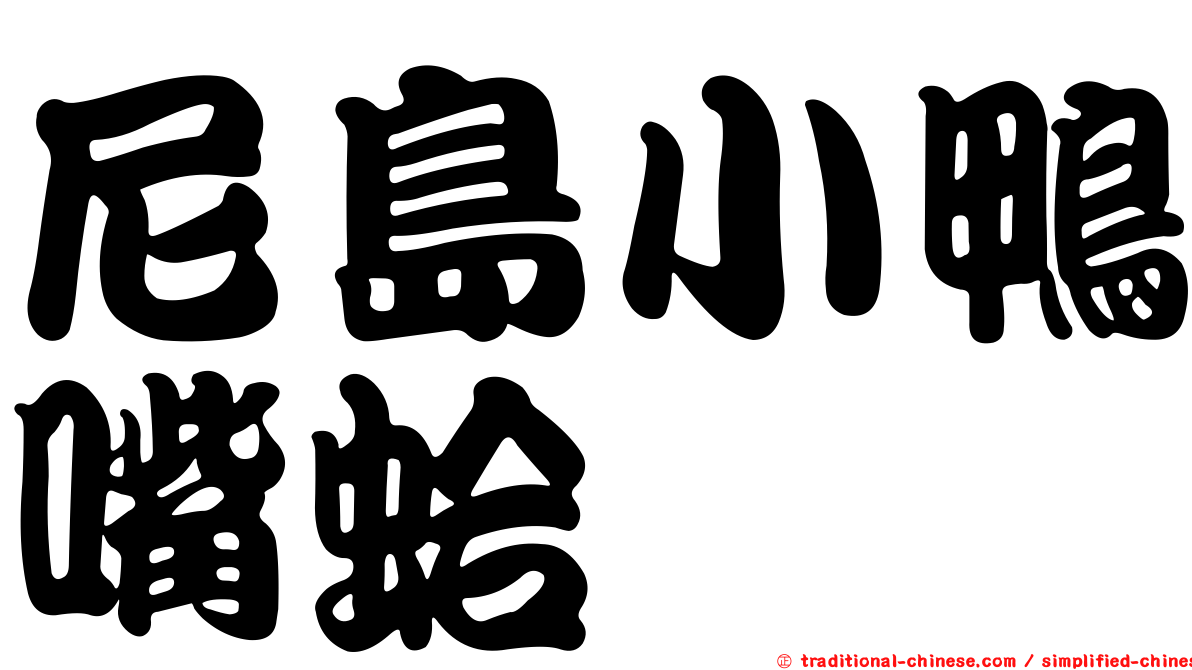 尼島小鴨嘴蛤
