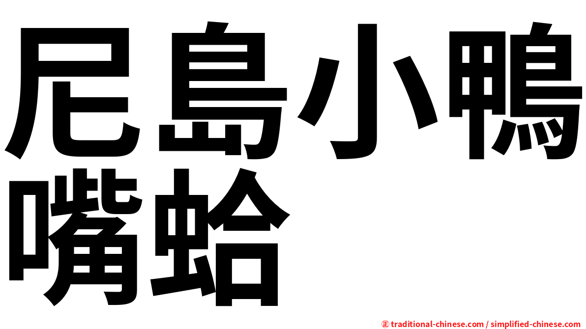 尼島小鴨嘴蛤