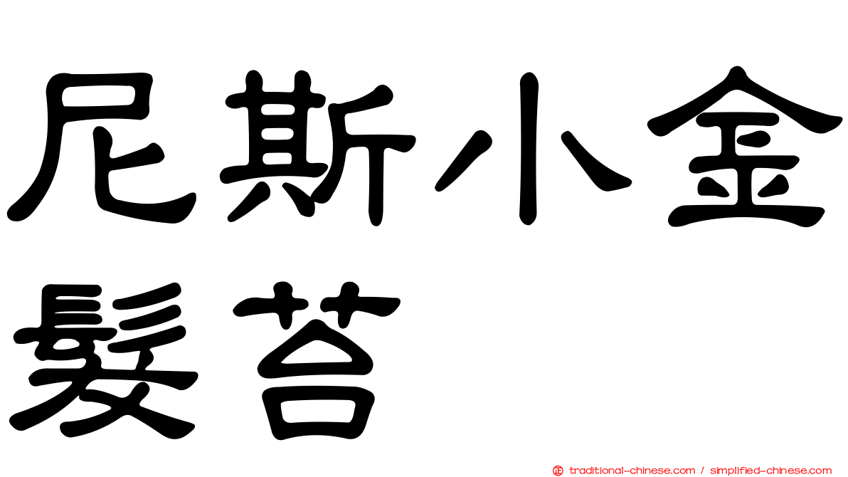 尼斯小金髮苔