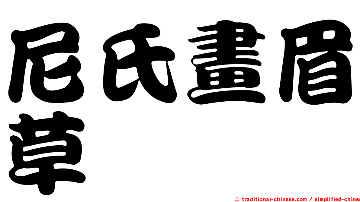尼氏畫眉草