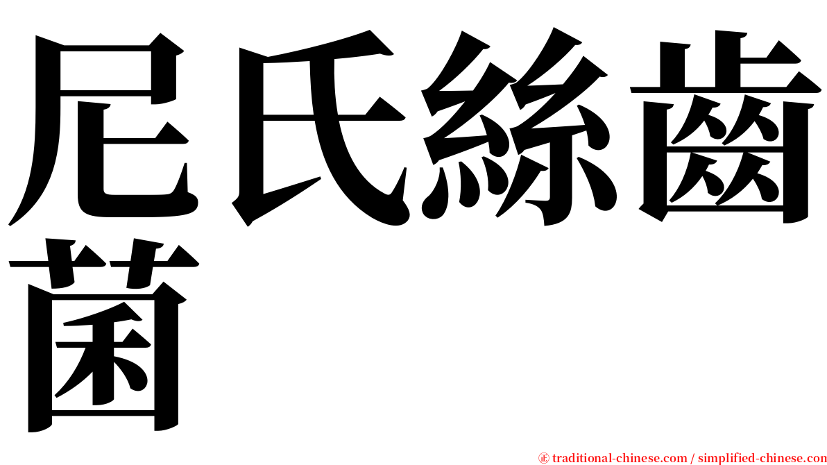 尼氏絲齒菌 serif font