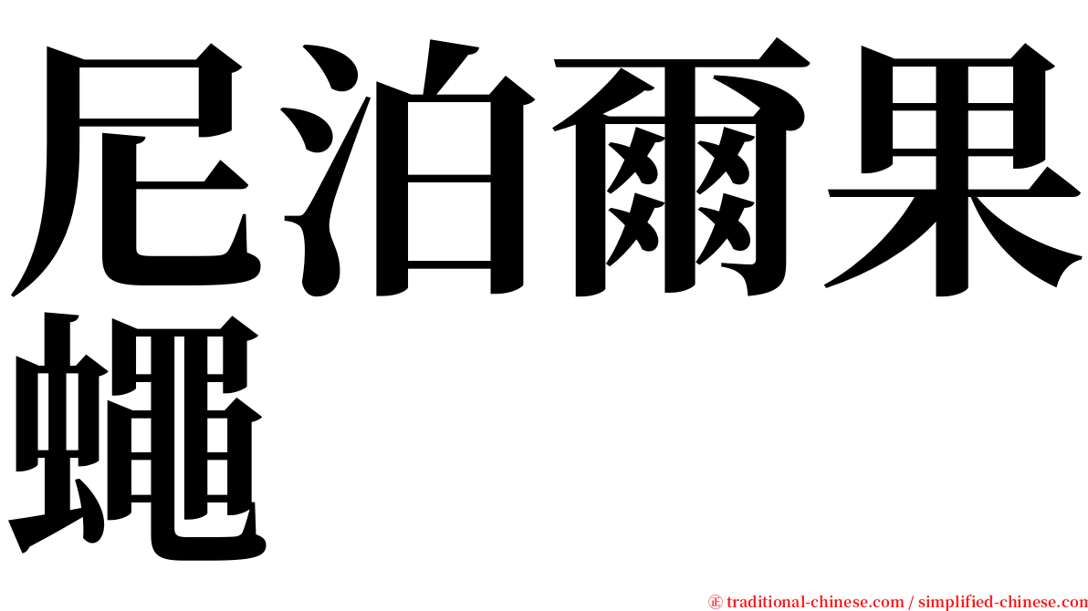 尼泊爾果蠅 serif font