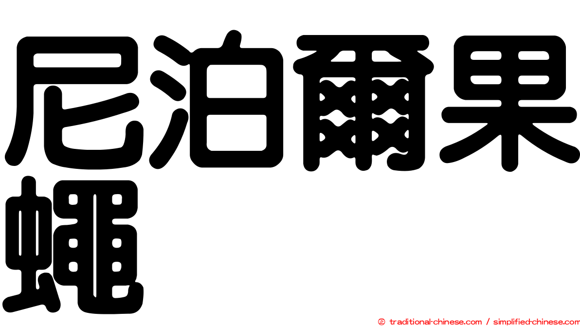 尼泊爾果蠅