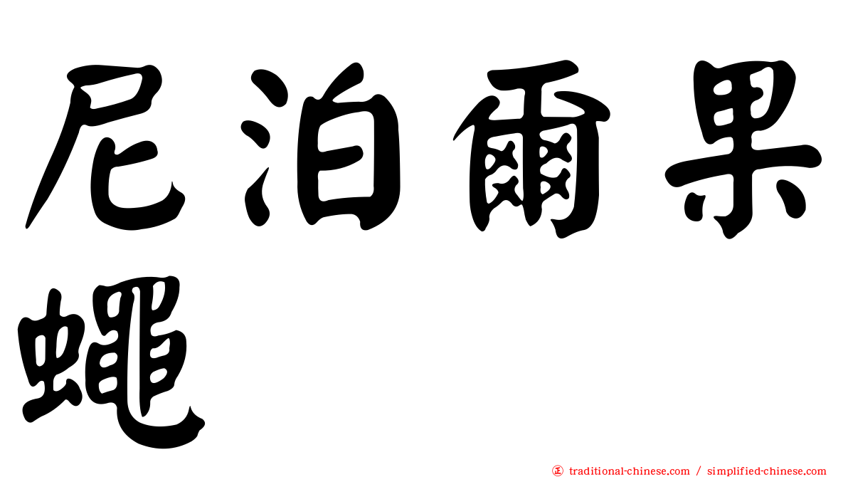 尼泊爾果蠅