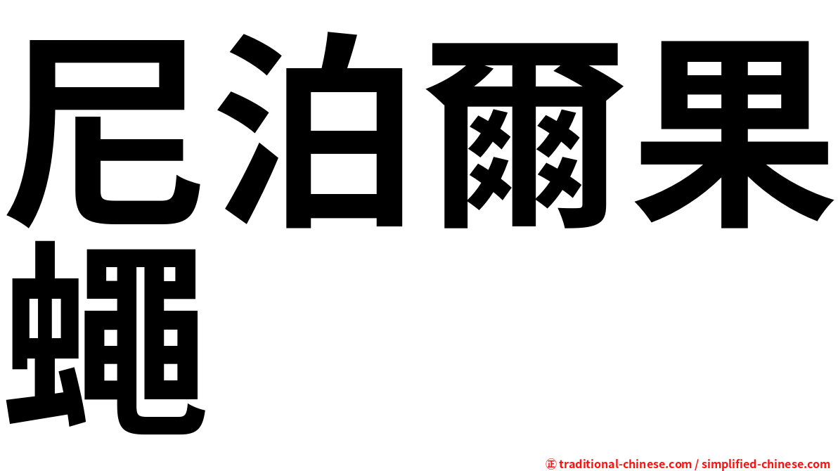 尼泊爾果蠅