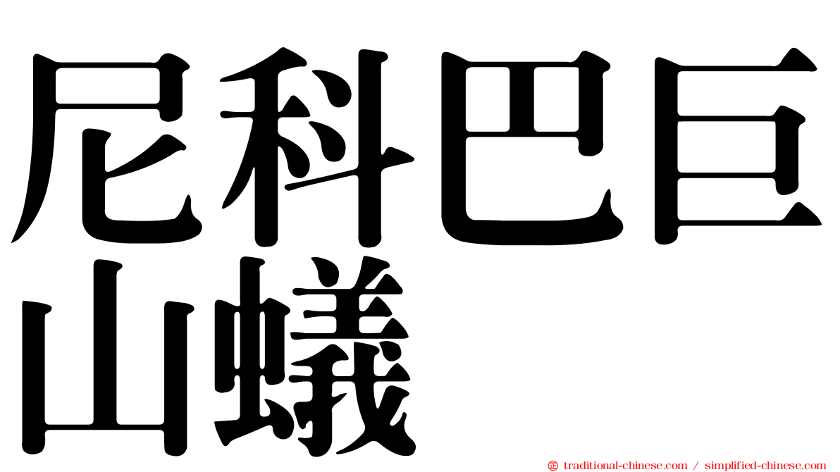 尼科巴巨山蟻