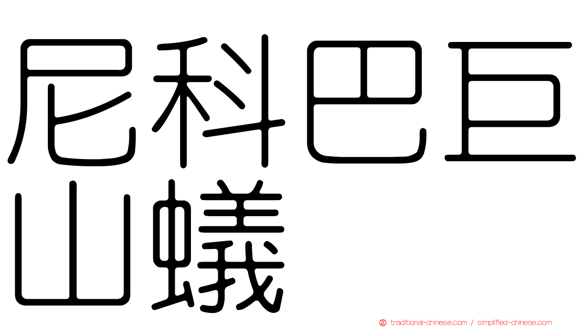 尼科巴巨山蟻
