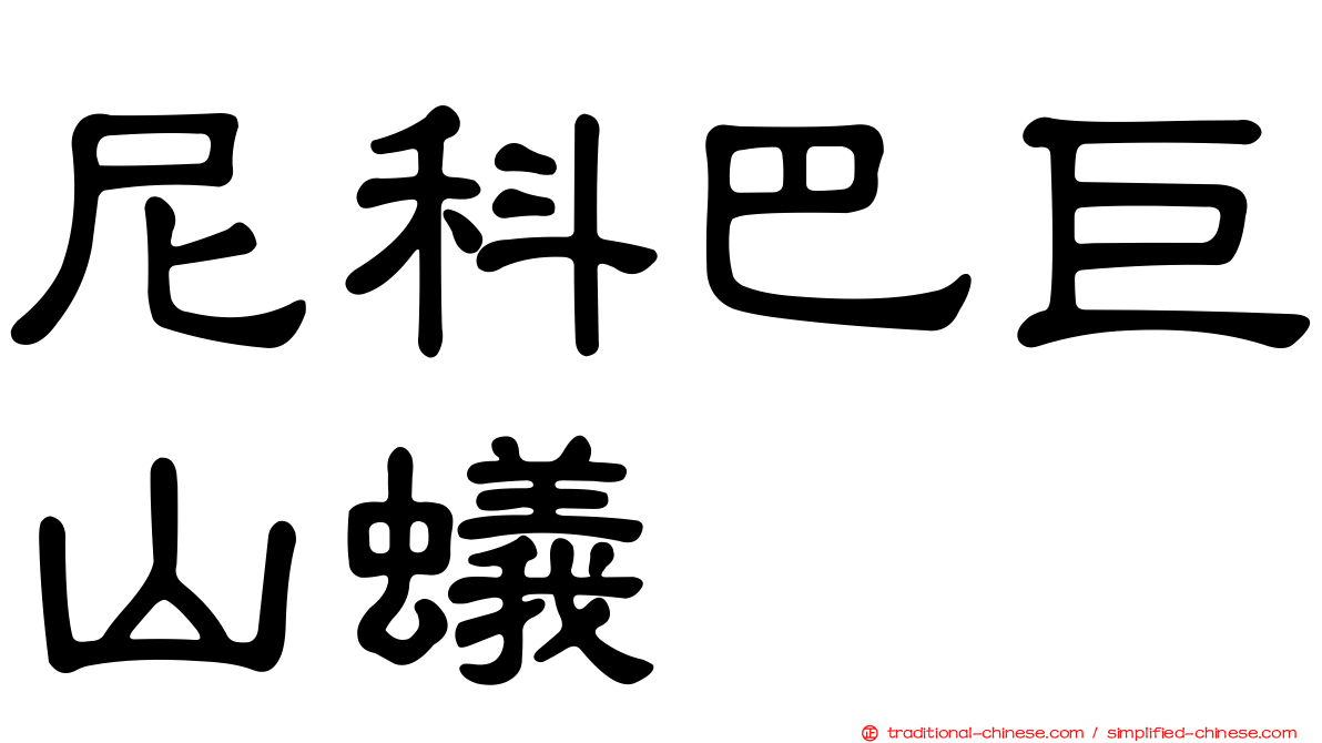 尼科巴巨山蟻