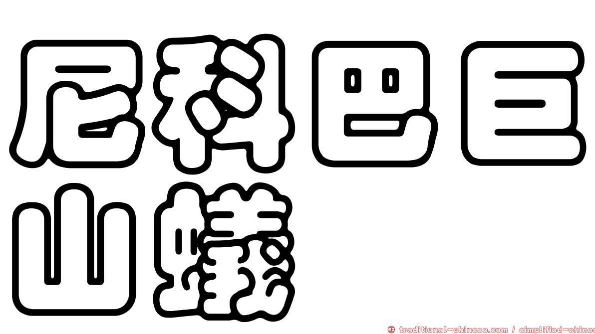 尼科巴巨山蟻