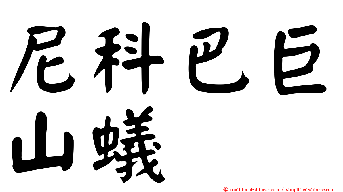 尼科巴巨山蟻