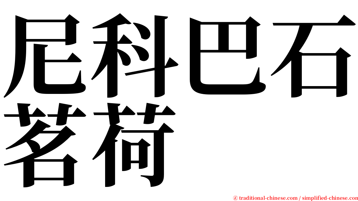 尼科巴石茗荷 serif font