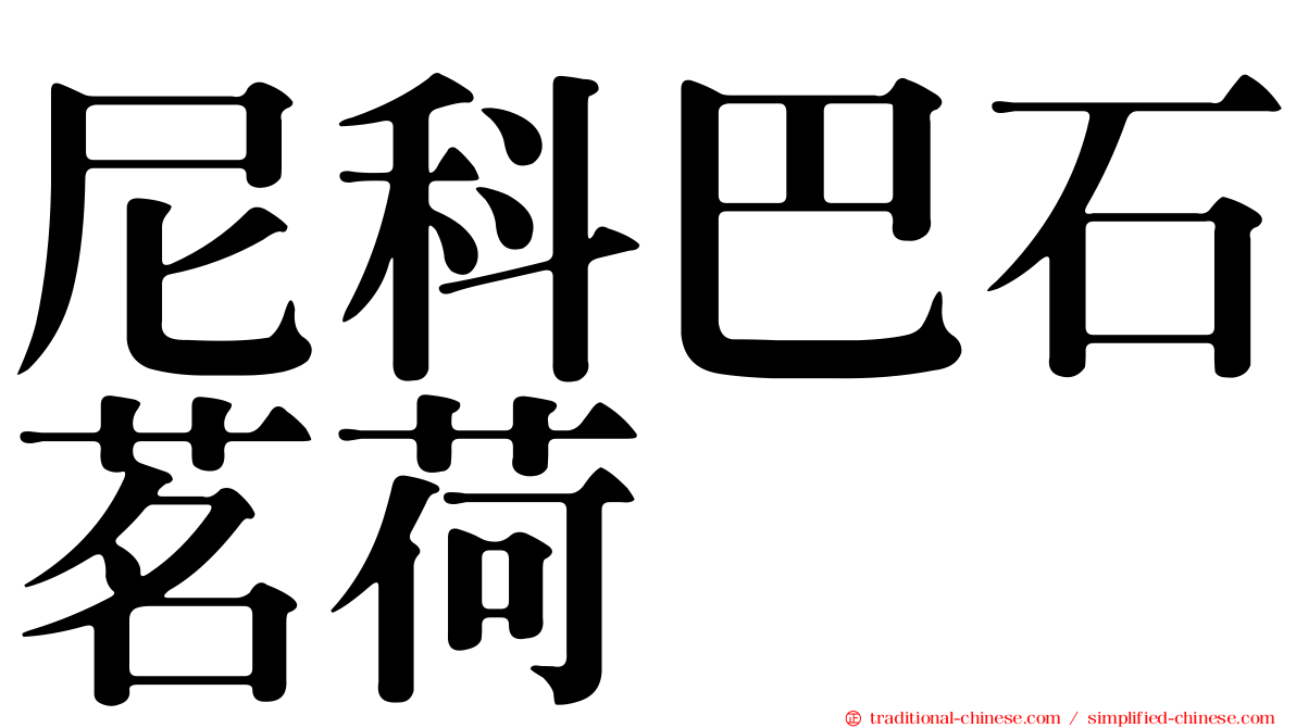 尼科巴石茗荷