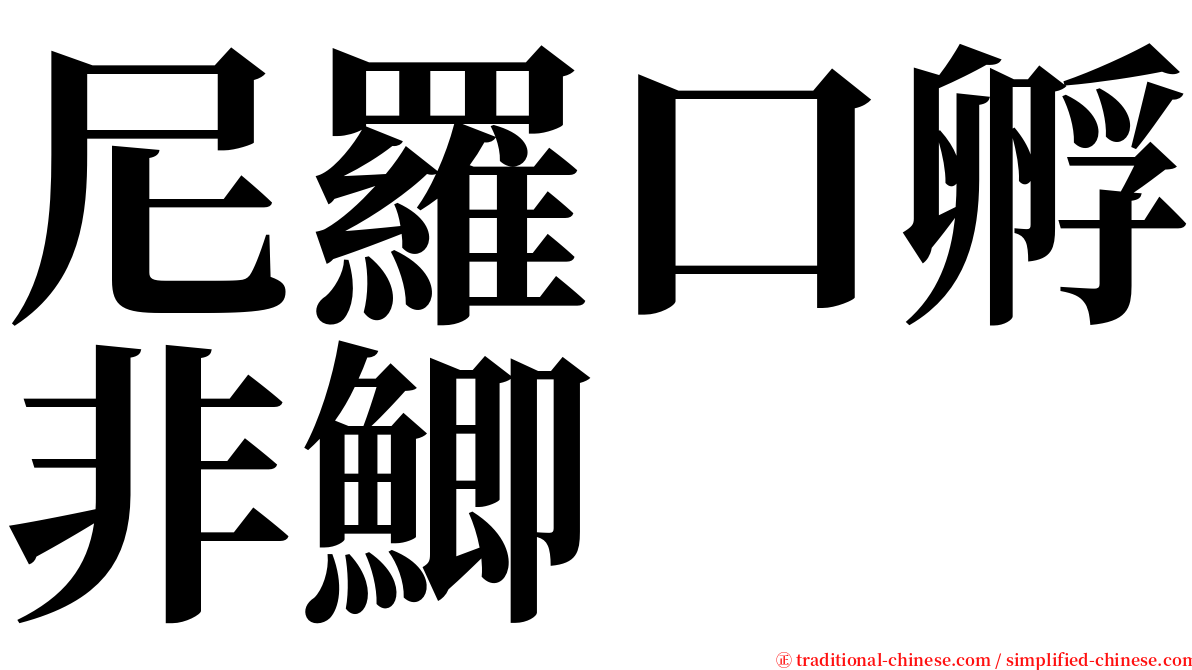 尼羅口孵非鯽 serif font