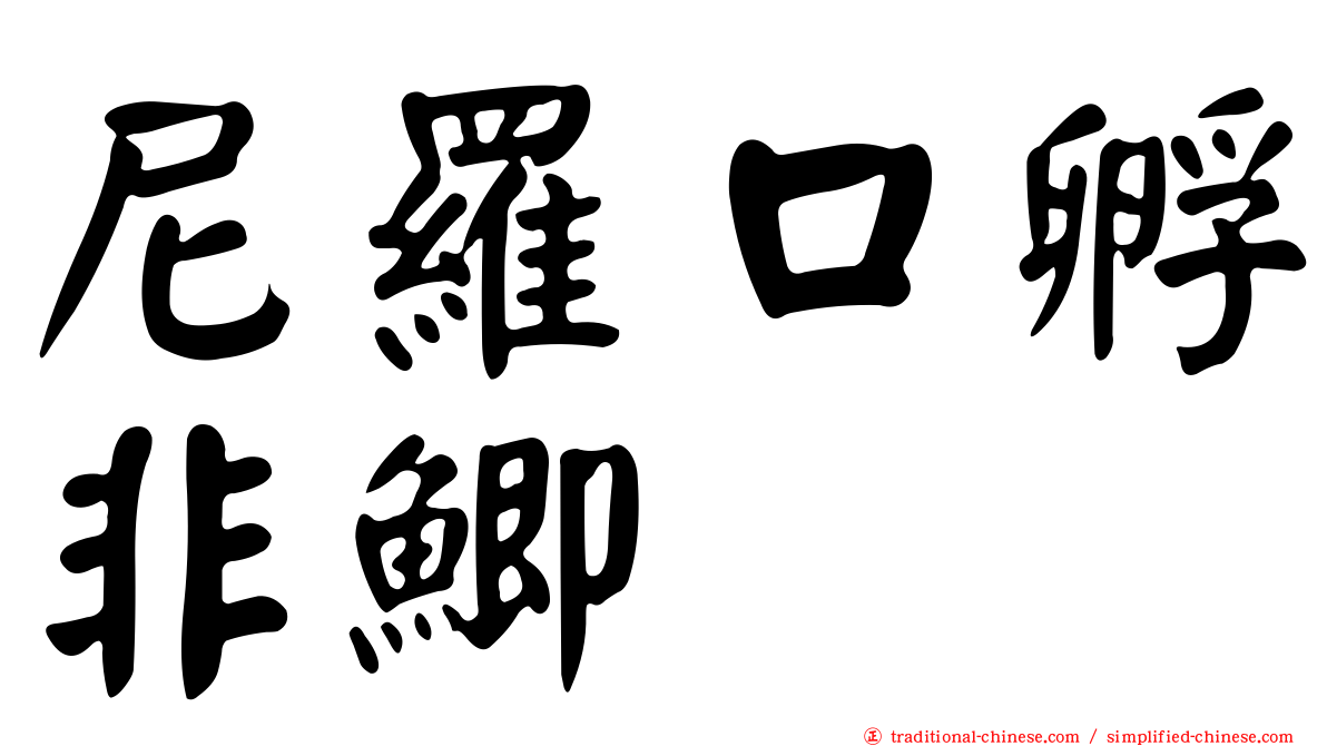 尼羅口孵非鯽