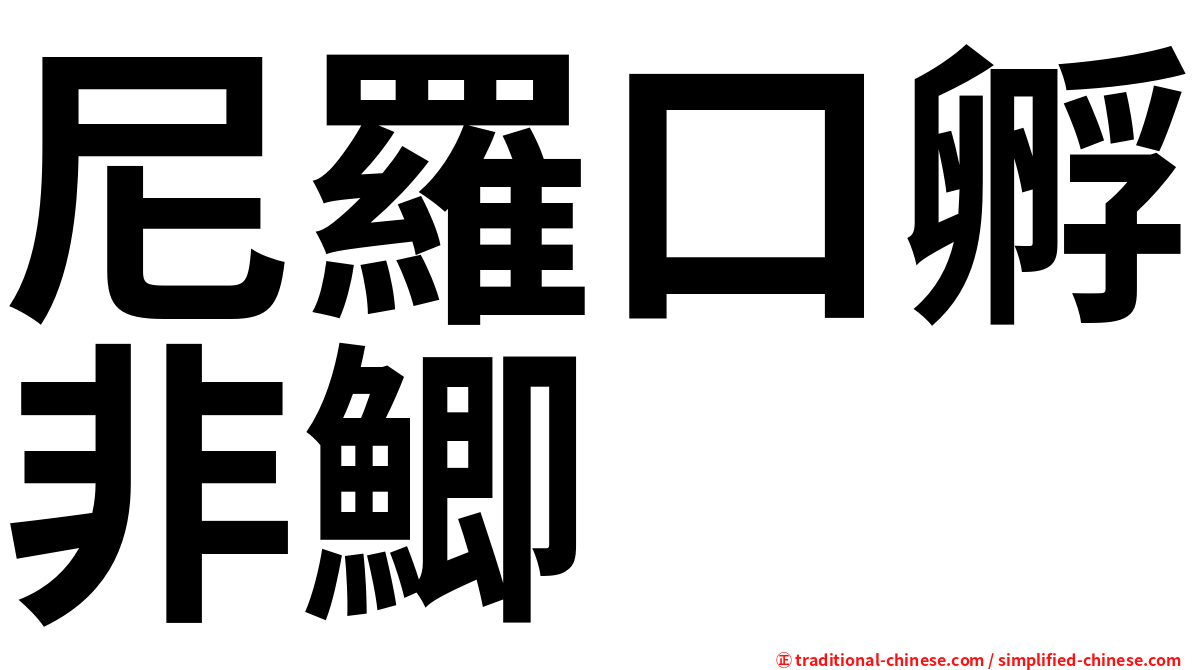 尼羅口孵非鯽