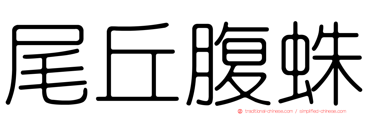 尾丘腹蛛