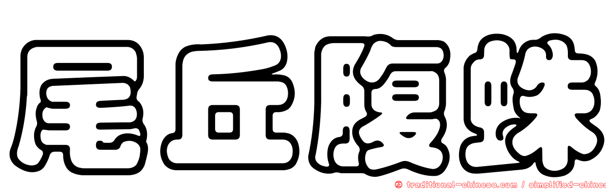 尾丘腹蛛