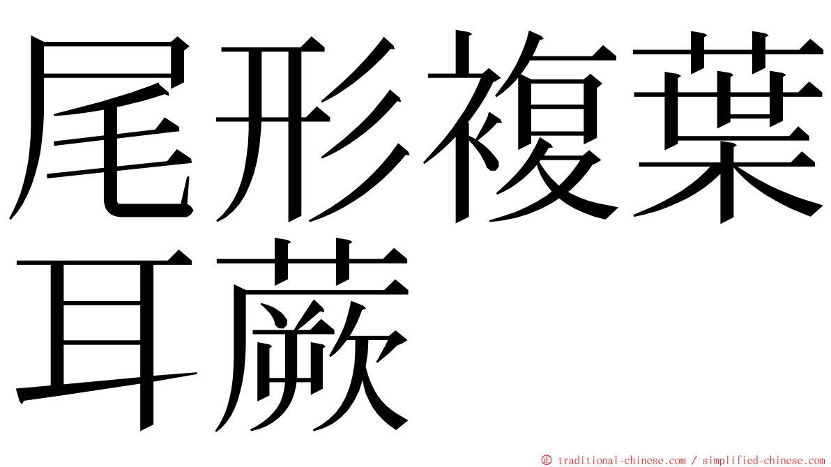尾形複葉耳蕨 ming font