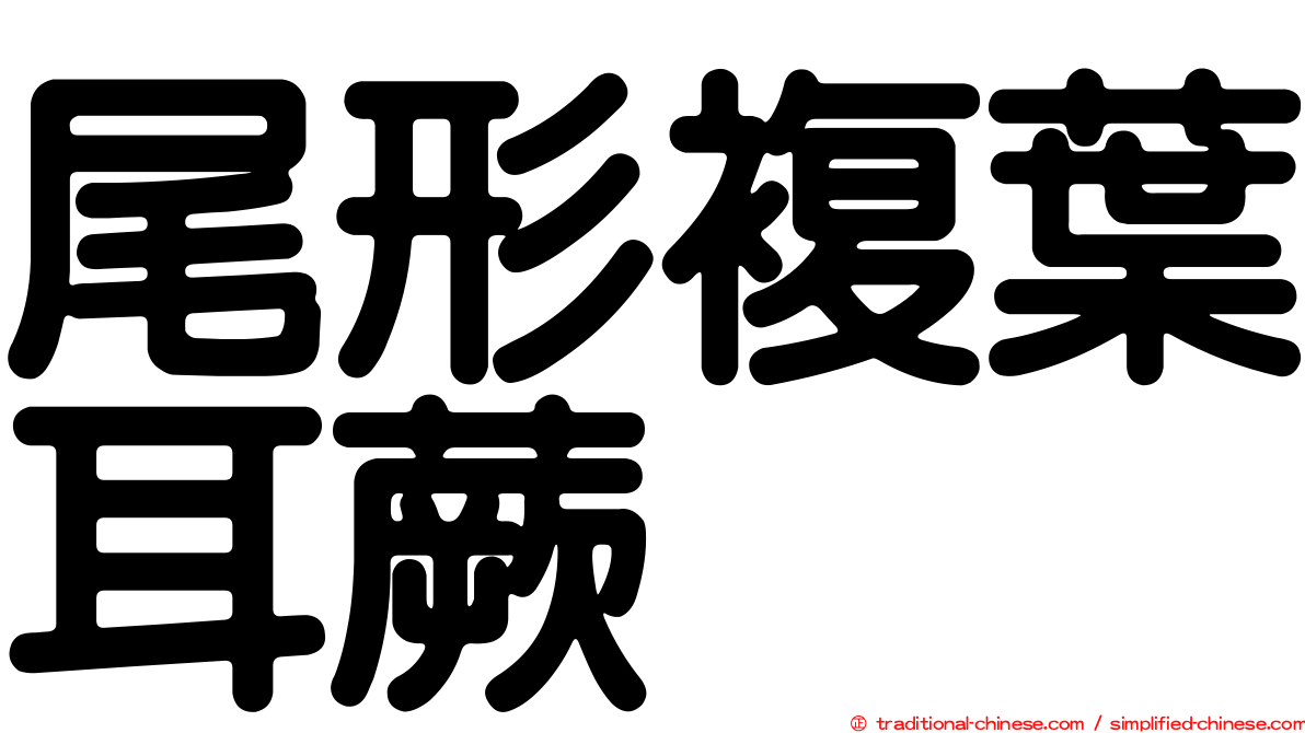 尾形複葉耳蕨