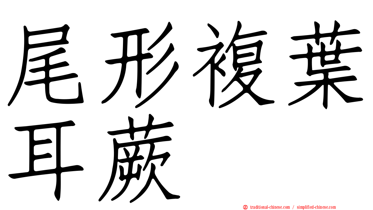 尾形複葉耳蕨