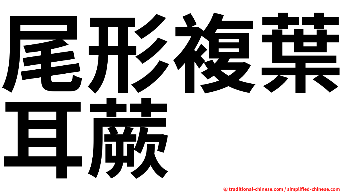 尾形複葉耳蕨