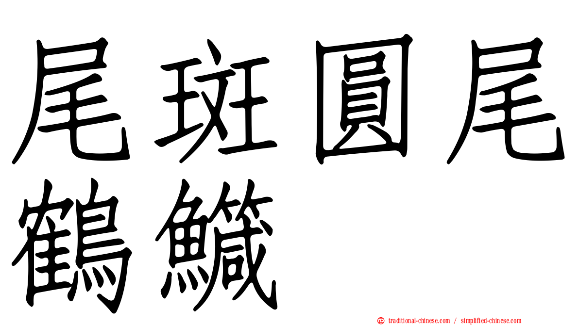 尾斑圓尾鶴鱵