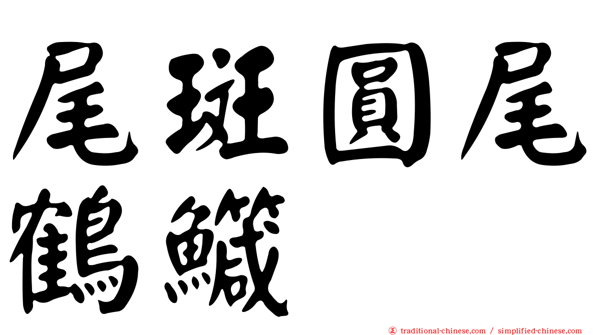 尾斑圓尾鶴鱵