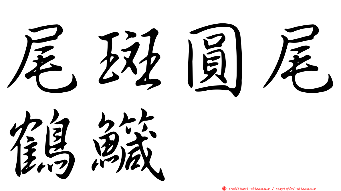 尾斑圓尾鶴鱵