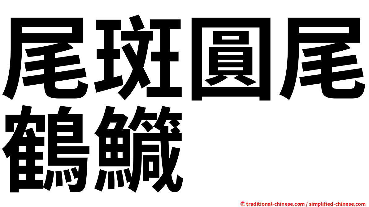 尾斑圓尾鶴鱵